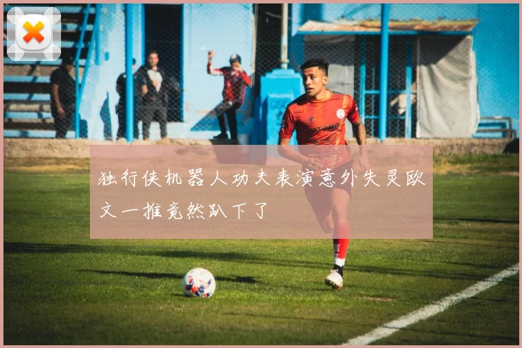 独行侠机器人功夫表演意外失灵欧文一推竟然趴下了