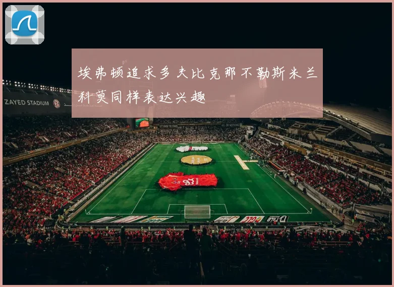 埃弗顿追求多夫比克那不勒斯米兰科莫同样表达兴趣